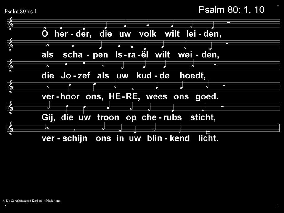 ... Psalm 80: 1, 10