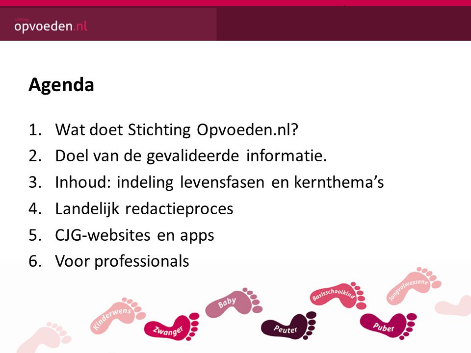 Agenda 1.Wat doet Stichting Opvoeden.nl. 2.Doel van de gevalideerde informatie.