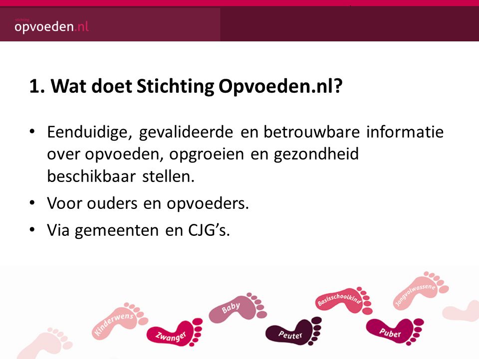 1. Wat doet Stichting Opvoeden.nl.