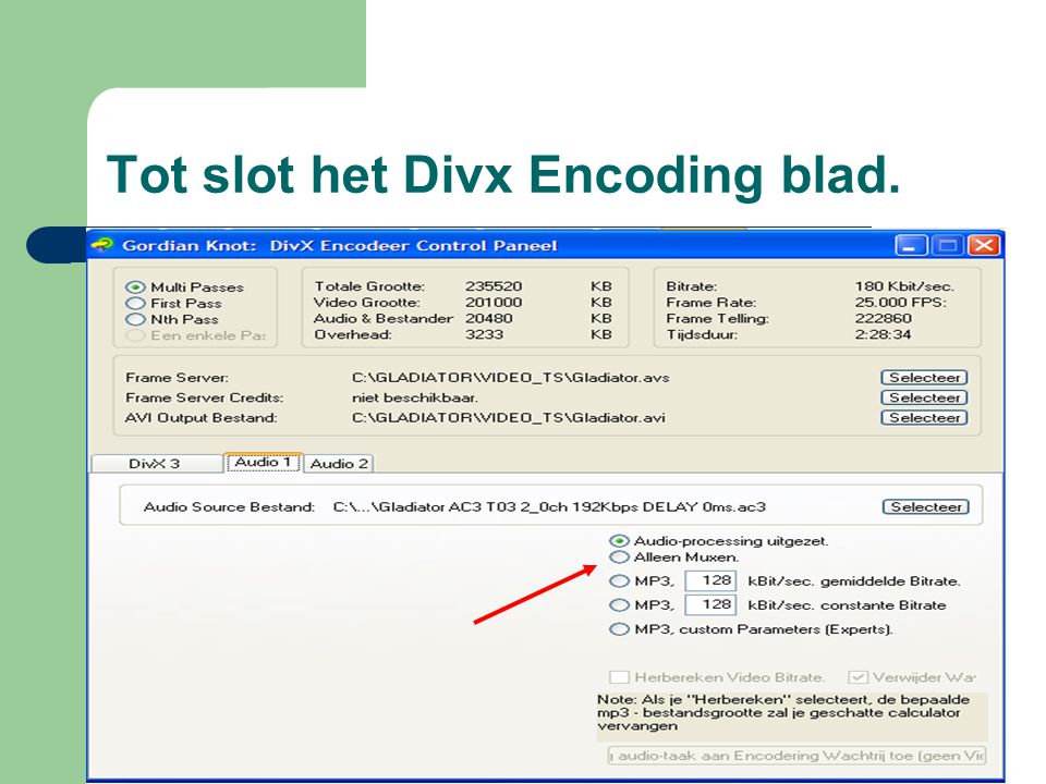 Tot slot het Divx Encoding blad.