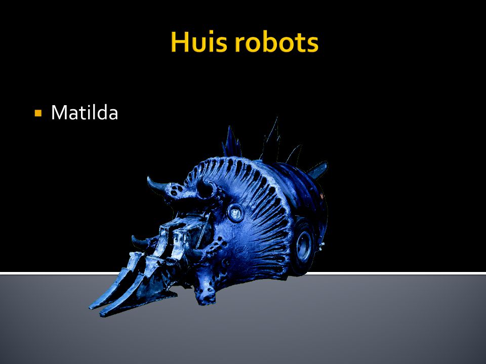 Huis robots  Matilda