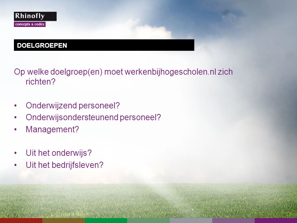 Op welke doelgroep(en) moet werkenbijhogescholen.nl zich richten.