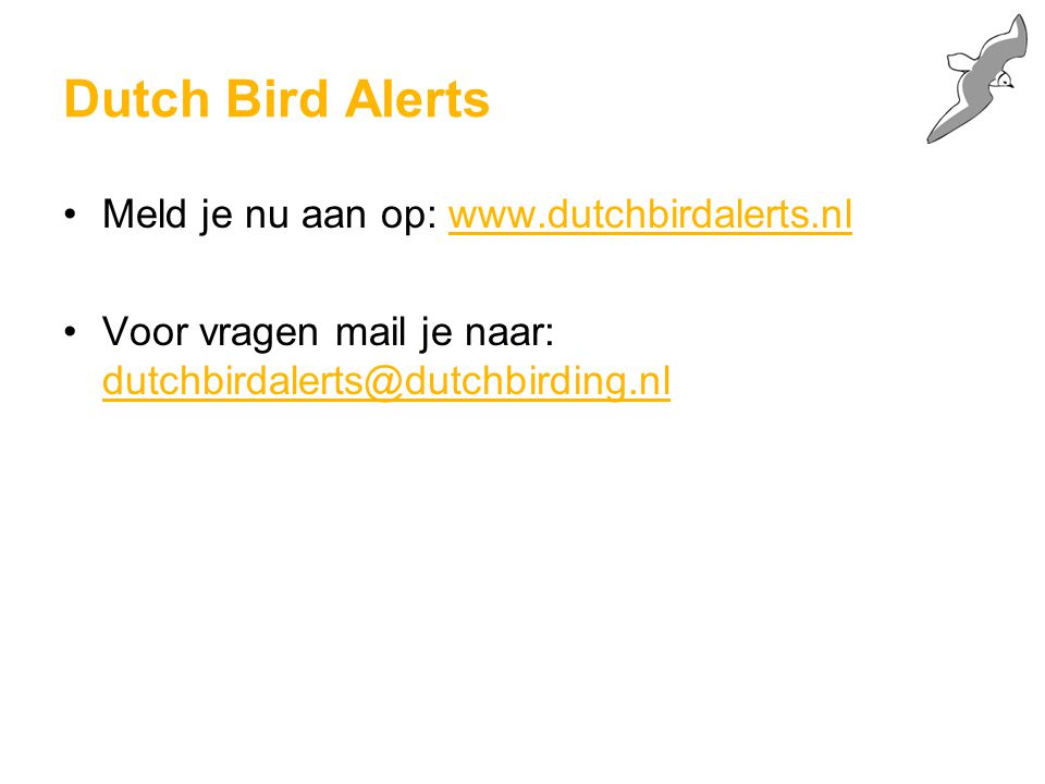 Dutch Bird Alerts Meld je nu aan op:   Voor vragen mail je naar: