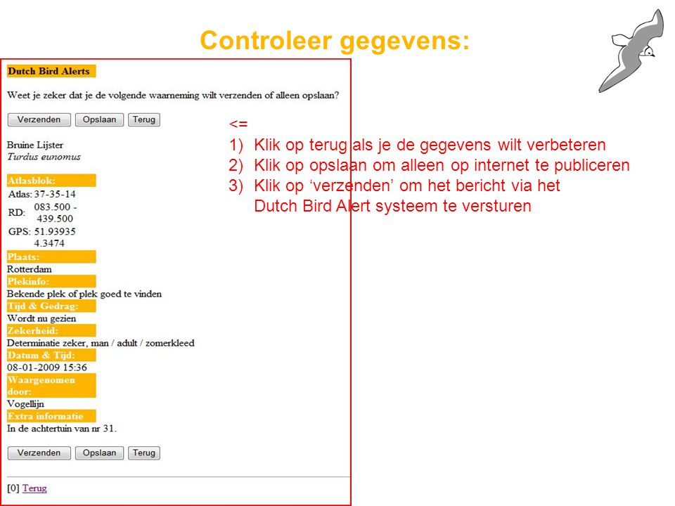 Controleer gegevens: <= 1)Klik op terug als je de gegevens wilt verbeteren 2)Klik op opslaan om alleen op internet te publiceren 3)Klik op ‘verzenden’ om het bericht via het Dutch Bird Alert systeem te versturen