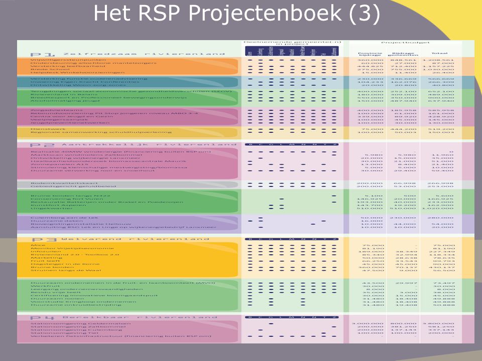 Het RSP Projectenboek (3)