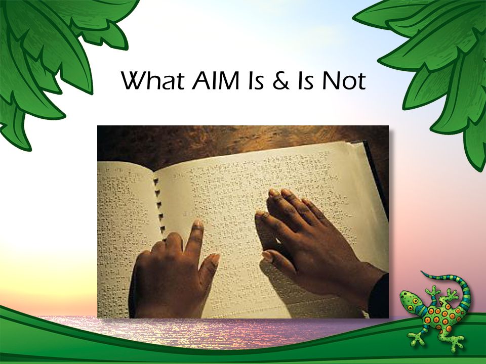 What AIM Is & Is Not