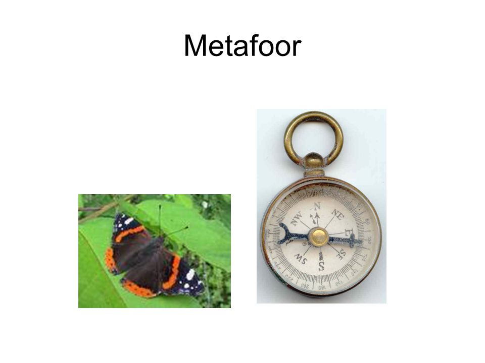 Metafoor