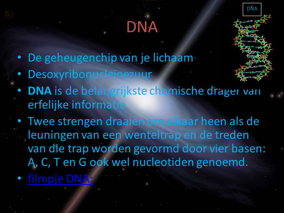 DNA De geheugenchip van je lichaam Desoxyribonucleïnezuur DNA is de belangrijkste chemische drager van erfelijke informatie Twee strengen draaien om elkaar heen als de leuningen van een wenteltrap en de treden van die trap worden gevormd door vier basen: A, C, T en G ook wel nucleotiden genoemd.