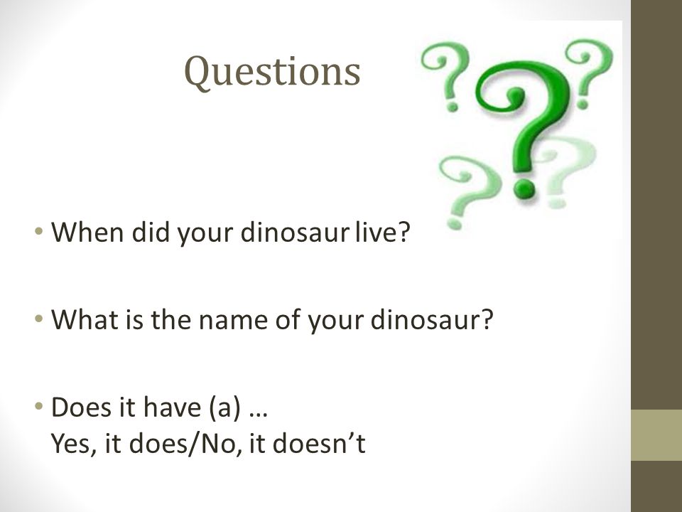 Questions When did your dinosaur live. What is the name of your dinosaur.