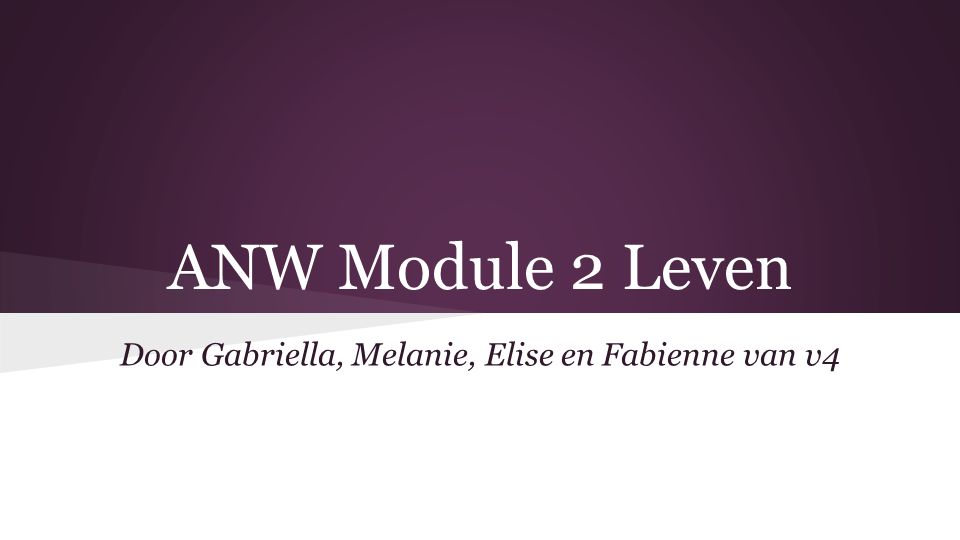 ANW Module 2 Leven Door Gabriella, Melanie, Elise en Fabienne van v4