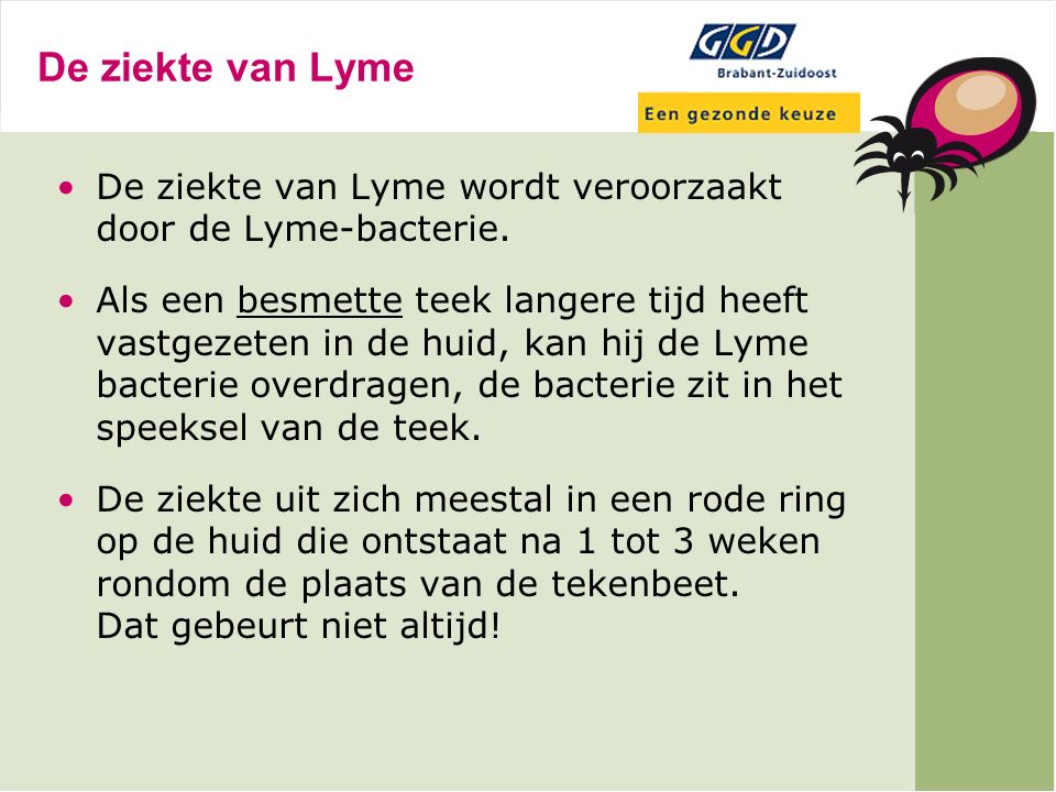De ziekte van Lyme De ziekte van Lyme wordt veroorzaakt door de Lyme-bacterie.