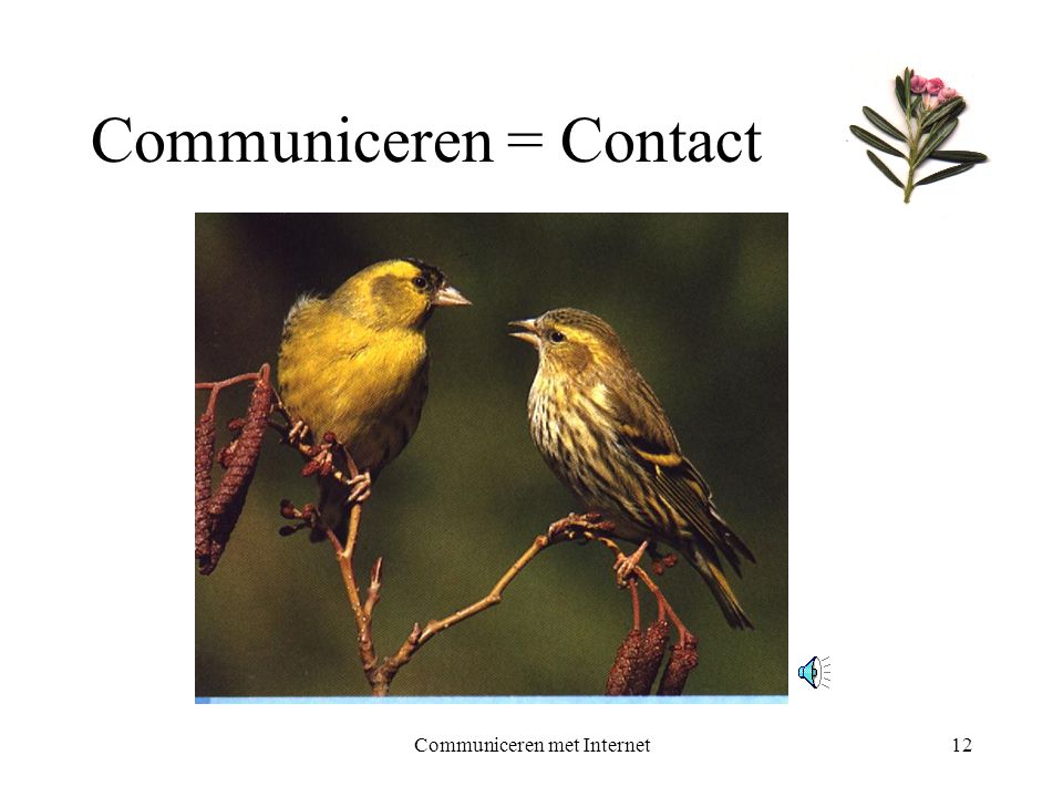 Communiceren met Internet12 Communiceren = Contact