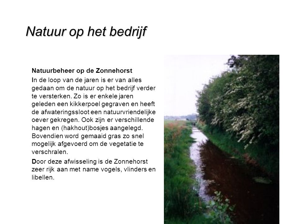 Natuur op het bedrijf Natuurbeheer op de Zonnehorst In de loop van de jaren is er van alles gedaan om de natuur op het bedrijf verder te versterken.