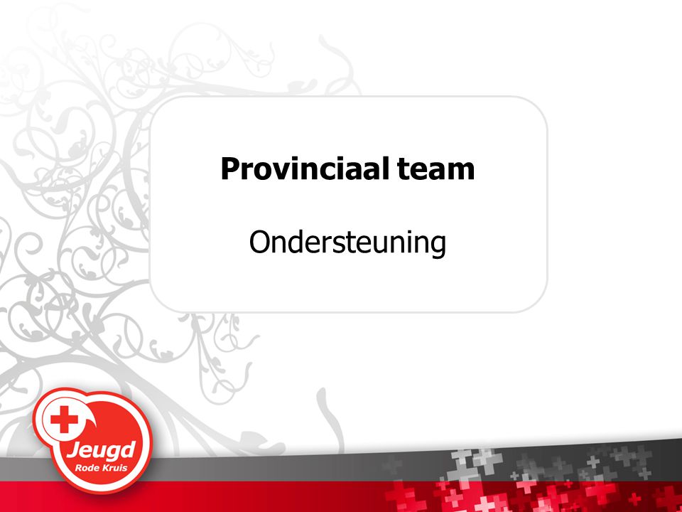 Provinciaal team Ondersteuning