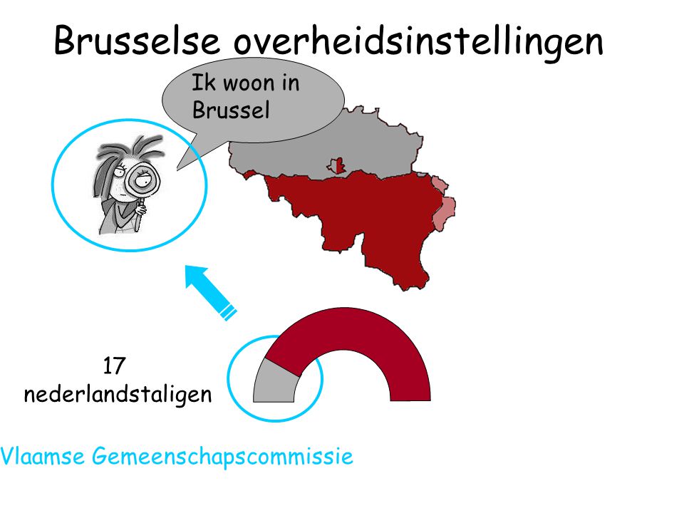 17 nederlandstaligen Ik woon in Brussel Vlaamse Gemeenschapscommissie Brusselse overheidsinstellingen