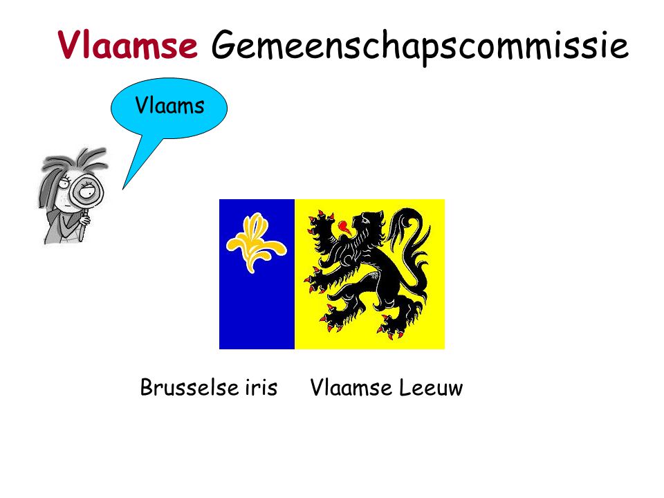 Vlaams Vlaamse Gemeenschapscommissie Brusselse irisVlaamse Leeuw