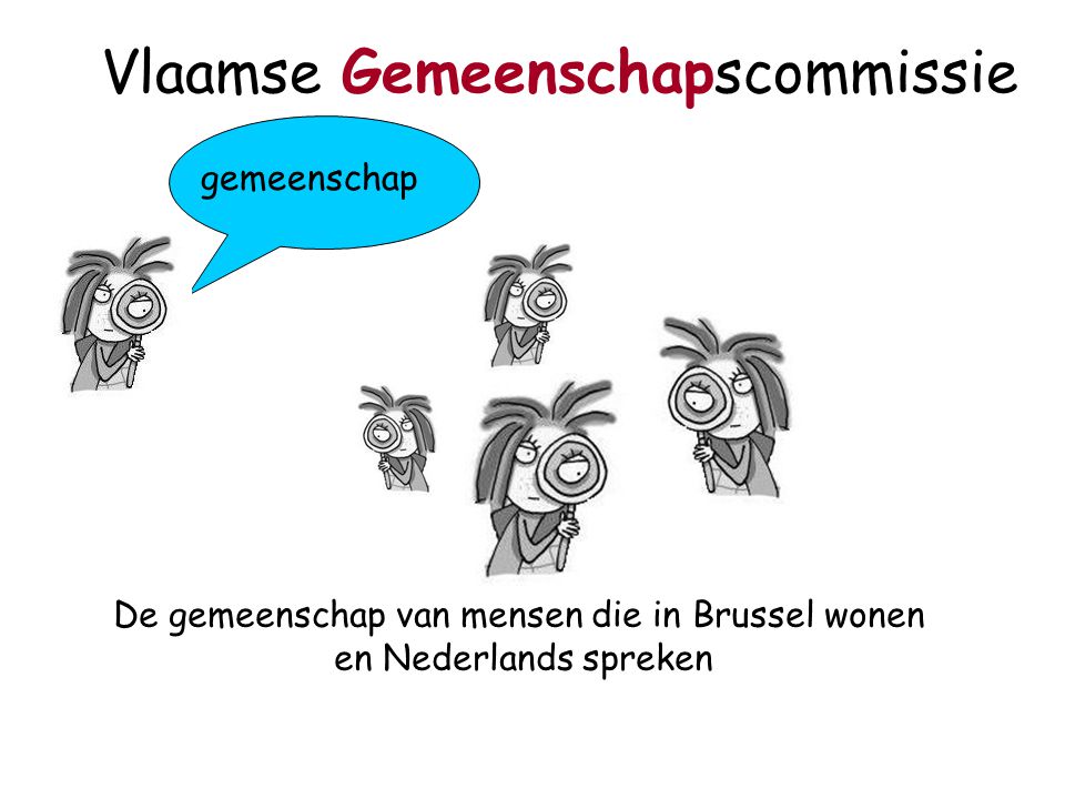 gemeenschap Vlaamse Gemeenschapscommissie De gemeenschap van mensen die in Brussel wonen en Nederlands spreken