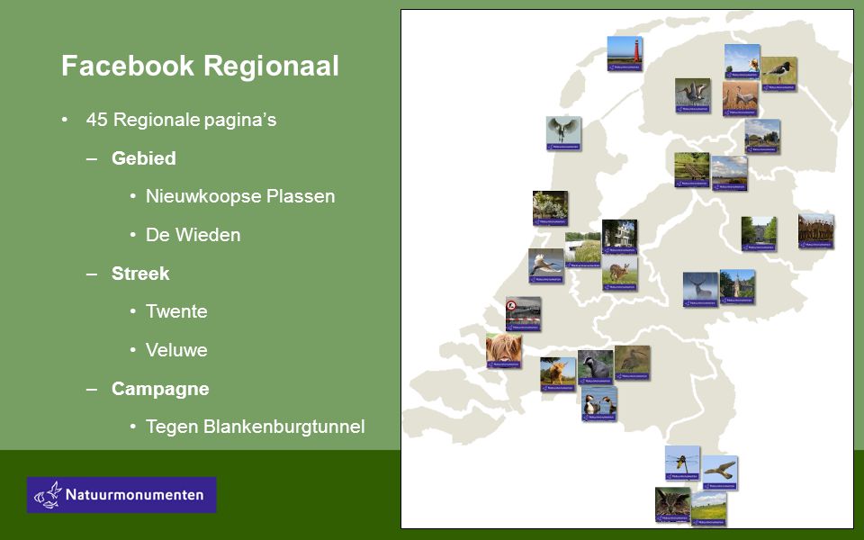 Facebook Regionaal •45 Regionale pagina’s –Gebied •Nieuwkoopse Plassen •De Wieden –Streek •Twente •Veluwe –Campagne •Tegen Blankenburgtunnel