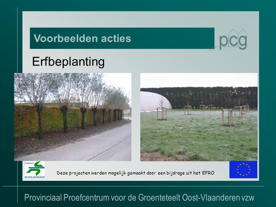 Provinciaal Proefcentrum voor de Groenteteelt Oost-Vlaanderen vzw Voorbeelden acties Deze projecten werden mogelijk gemaakt door een bijdrage uit het EFRO Erfbeplanting