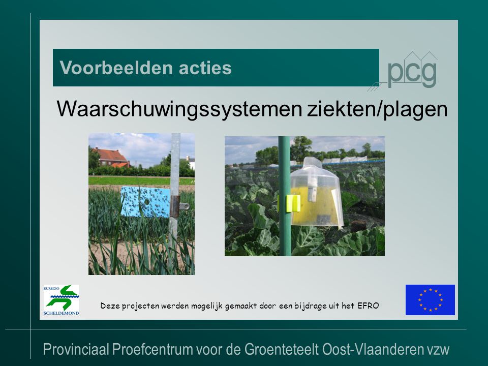 Provinciaal Proefcentrum voor de Groenteteelt Oost-Vlaanderen vzw Voorbeelden acties Deze projecten werden mogelijk gemaakt door een bijdrage uit het EFRO Waarschuwingssystemen ziekten/plagen