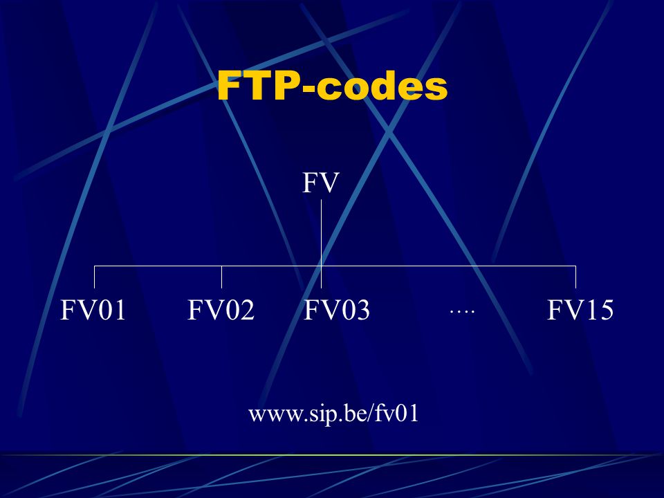 FTP-codes FV FV01FV02FV03FV15 ….