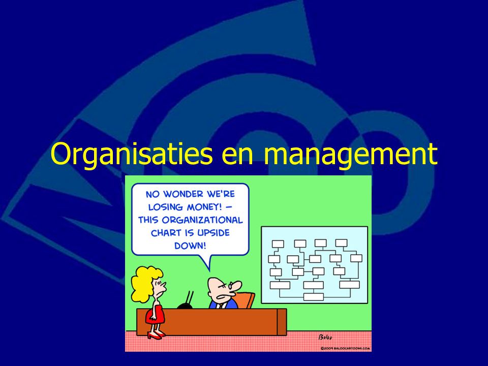 Organisaties en management