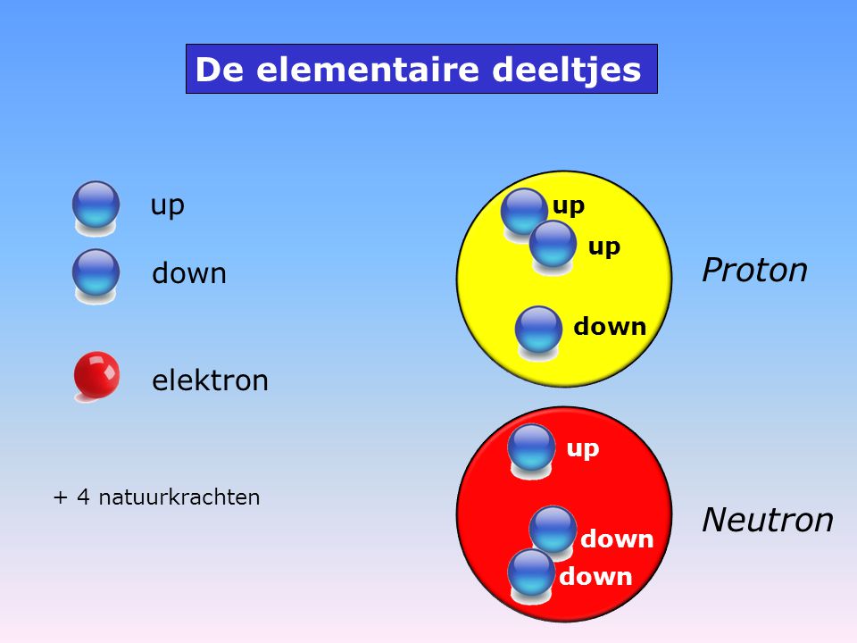 up down elektron De elementaire deeltjes Proton up down Neutron down up + 4 natuurkrachten