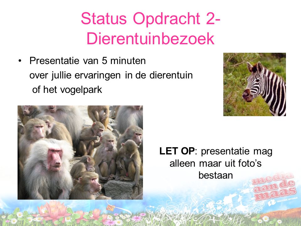 Status Opdracht 2- Dierentuinbezoek •Presentatie van 5 minuten over jullie ervaringen in de dierentuin of het vogelpark LET OP: presentatie mag alleen maar uit foto’s bestaan