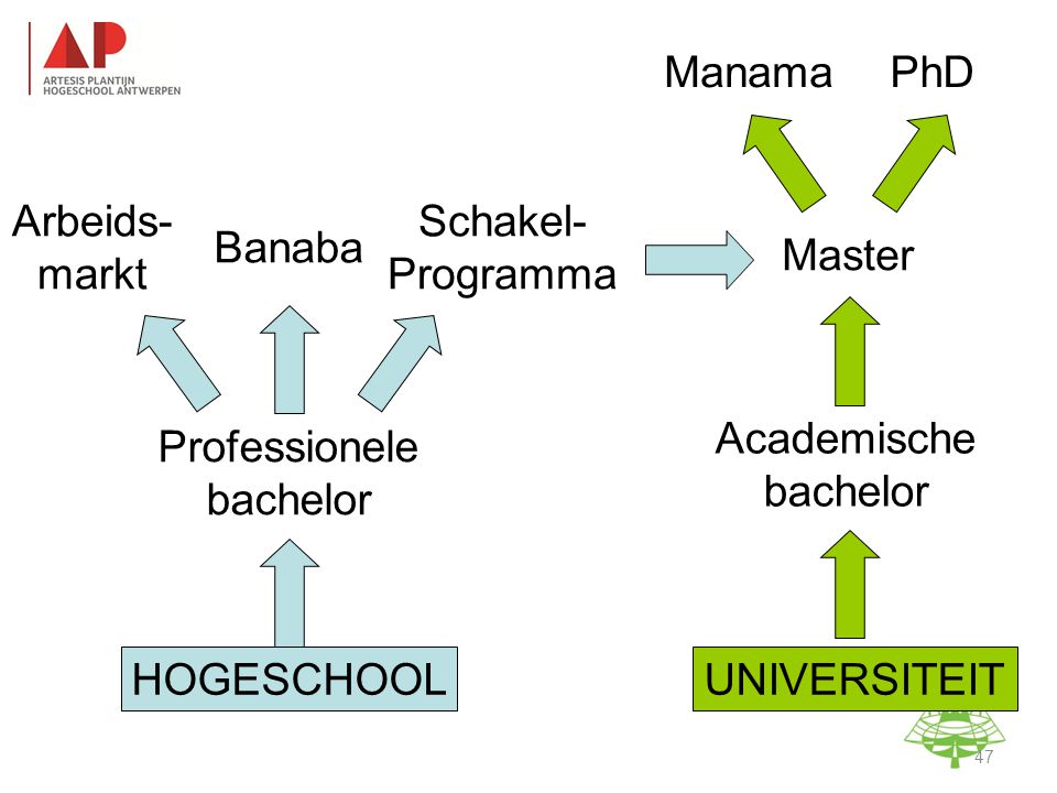 Professionele bachelor Academische bachelor Master HOGESCHOOL Arbeids- markt Banaba Schakel- Programma ManamaPhD UNIVERSITEIT Studie-informatieavond K.