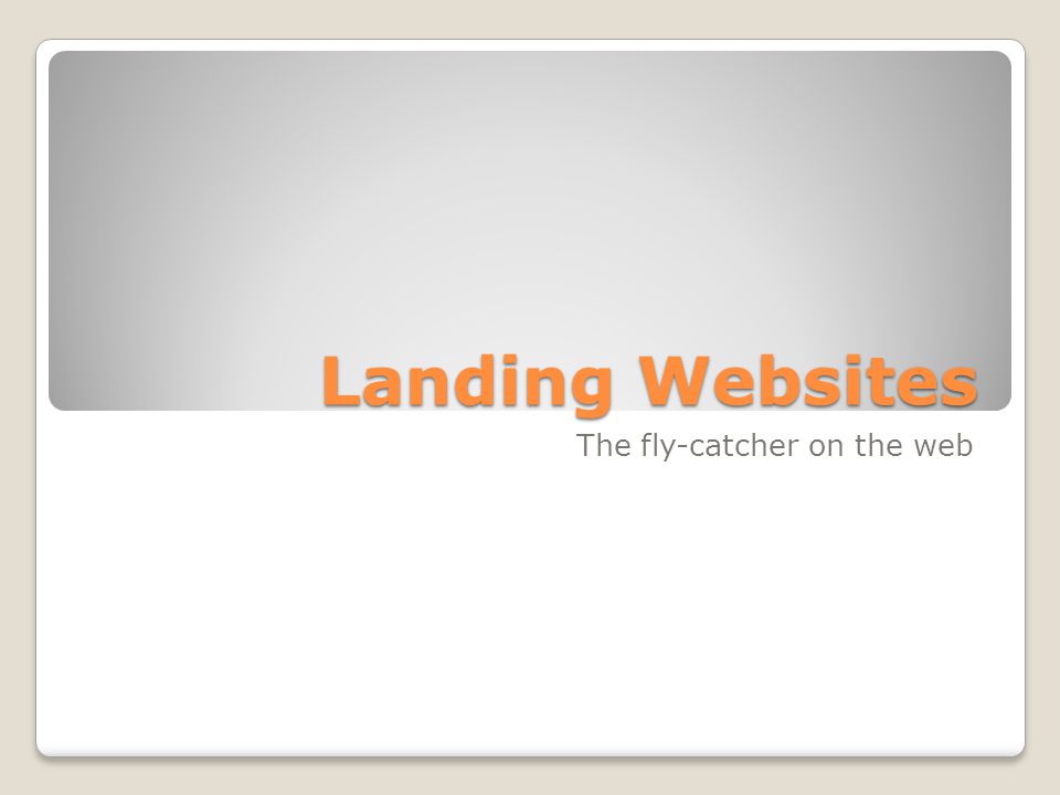 Landing Websites The fly-catcher on the web