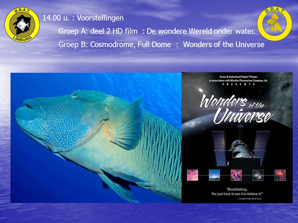 14.00 u. : Voorstellingen Groep A: deel 2 HD film : De wondere Wereld onder water.
