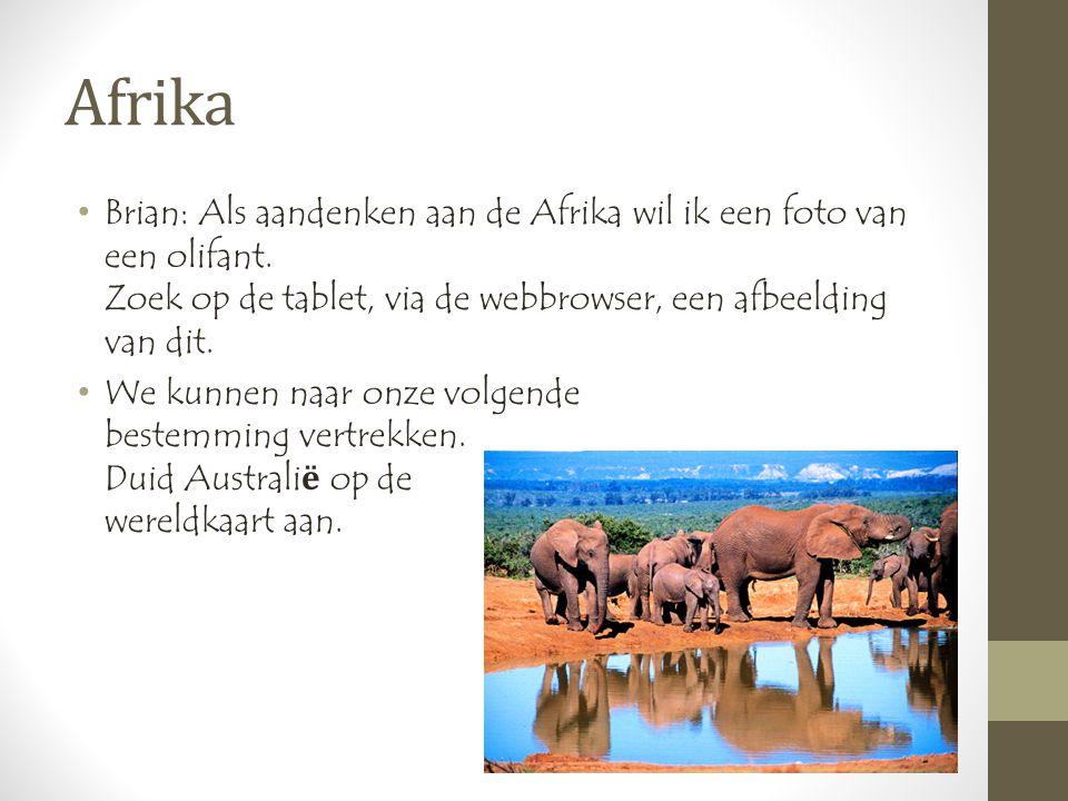 Afrika •Brian: Als aandenken aan de Afrika wil ik een foto van een olifant.