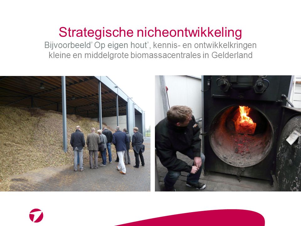 Strategische nicheontwikkeling Bijvoorbeeld’ Op eigen hout’, kennis- en ontwikkelkringen kleine en middelgrote biomassacentrales in Gelderland