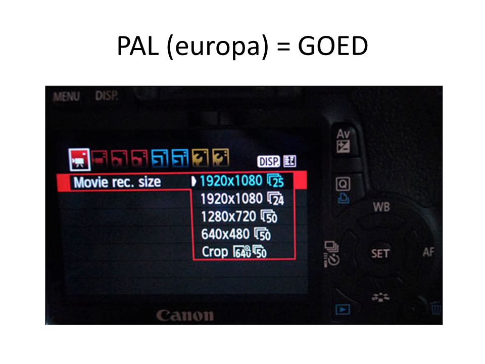 PAL (europa) = GOED
