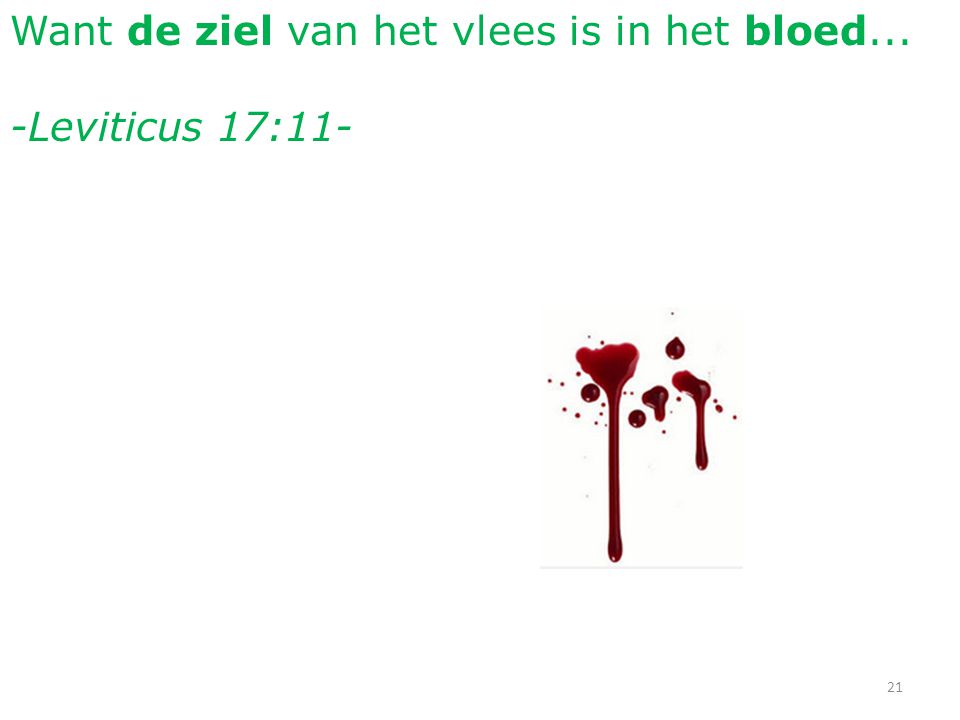 Want de ziel van het vlees is in het bloed... -Leviticus 17:11- 21