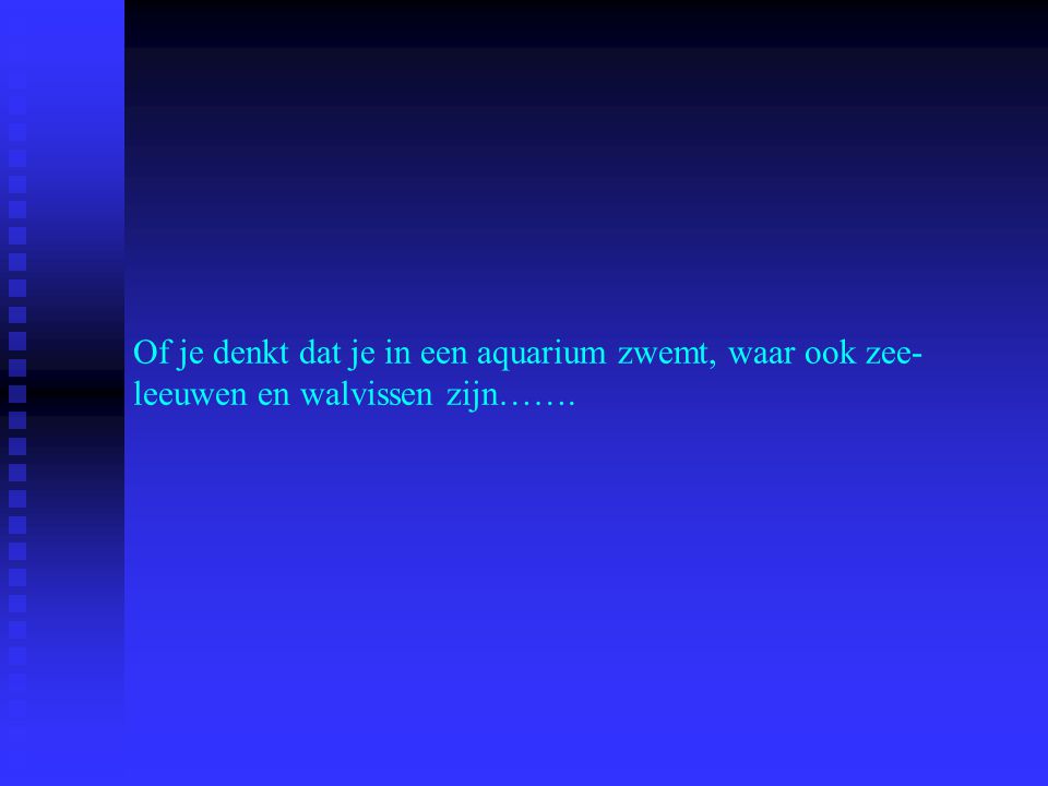 Of je denkt dat je in een aquarium zwemt, waar ook zee- leeuwen en walvissen zijn…….