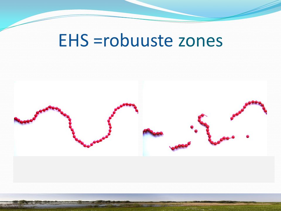 EHS =robuuste zones