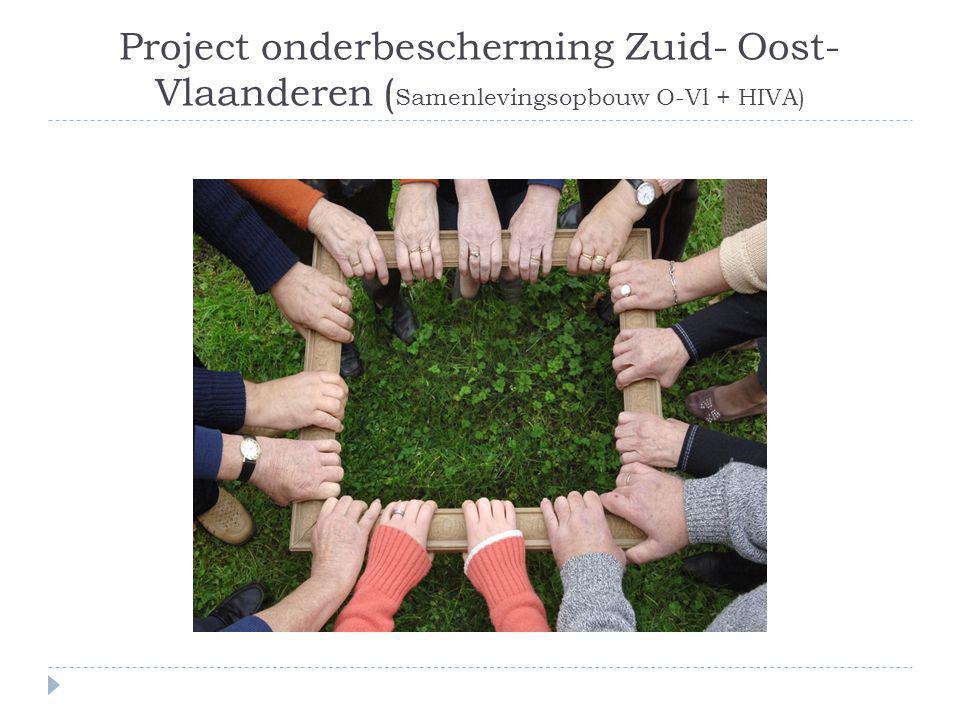 Project onderbescherming Zuid- Oost- Vlaanderen ( Samenlevingsopbouw O-Vl + HIVA)