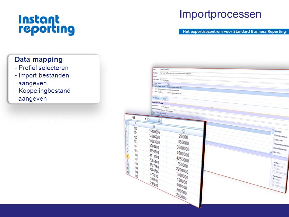 2011 Instant reporting | pagina 1 van x Audit & Control Importprocessen