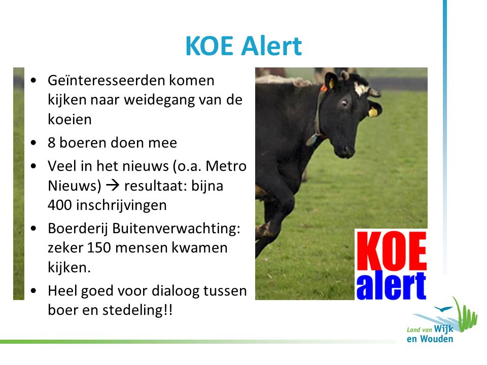 KOE Alert Geïnteresseerden komen kijken naar weidegang van de koeien 8 boeren doen mee Veel in het nieuws (o.a.