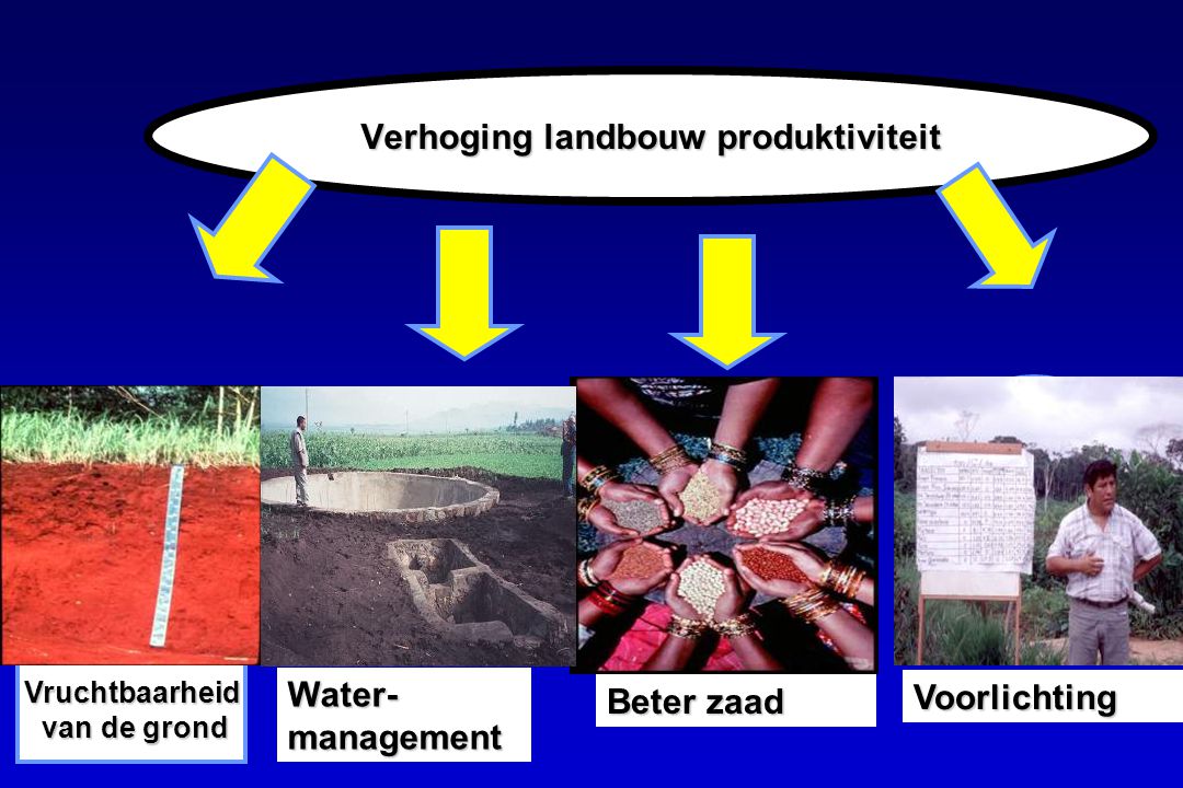 Verhoging landbouw produktiviteit Vruchtbaarheid van de grond van de grond Beter zaad Water- management Voorlichting