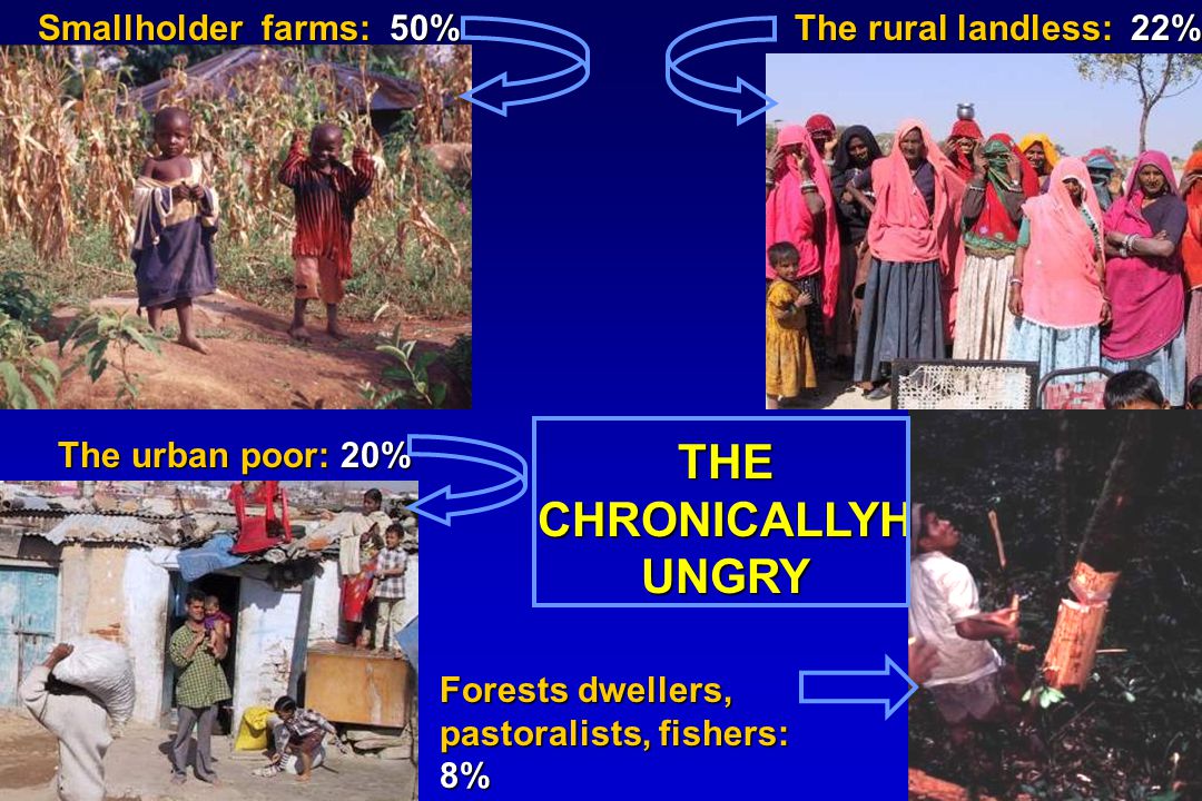 THE CHRONICALLYH UNGRY Smallholder farms: 50% The rural landless: 22% The urban poor: 20% The urban poor: 20% Forests dwellers, Forests dwellers, pastoralists, fishers: pastoralists, fishers: 8% 8%