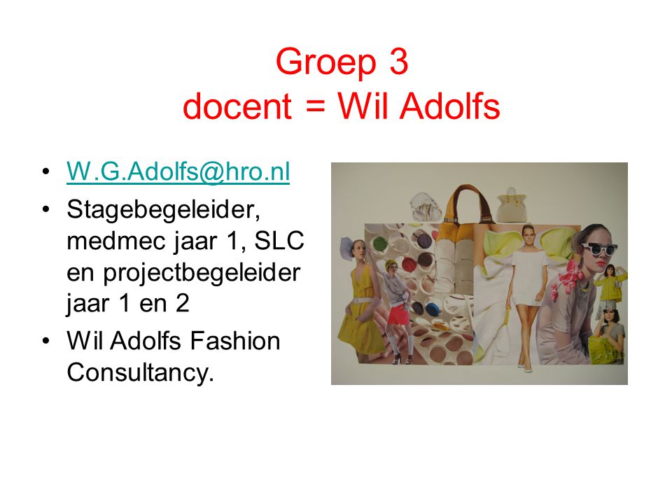 Groep 3 docent = Wil Adolfs Stagebegeleider, medmec jaar 1, SLC en projectbegeleider jaar 1 en 2 Wil Adolfs Fashion Consultancy.