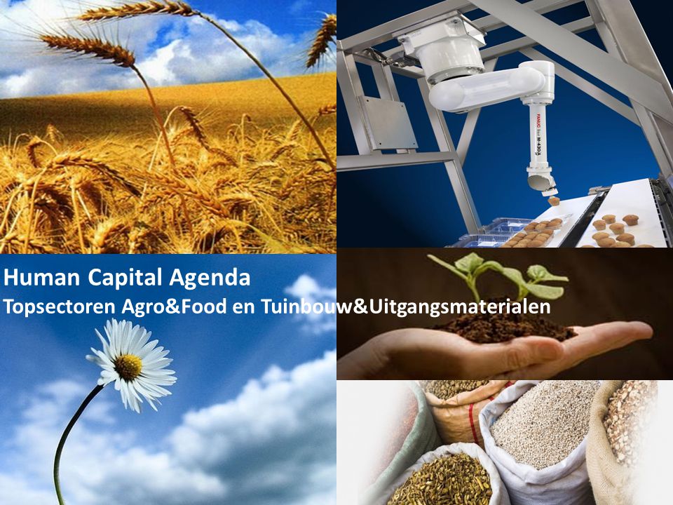 Human Capital Agenda Topsectoren Agro&Food en Tuinbouw&Uitgangsmaterialen