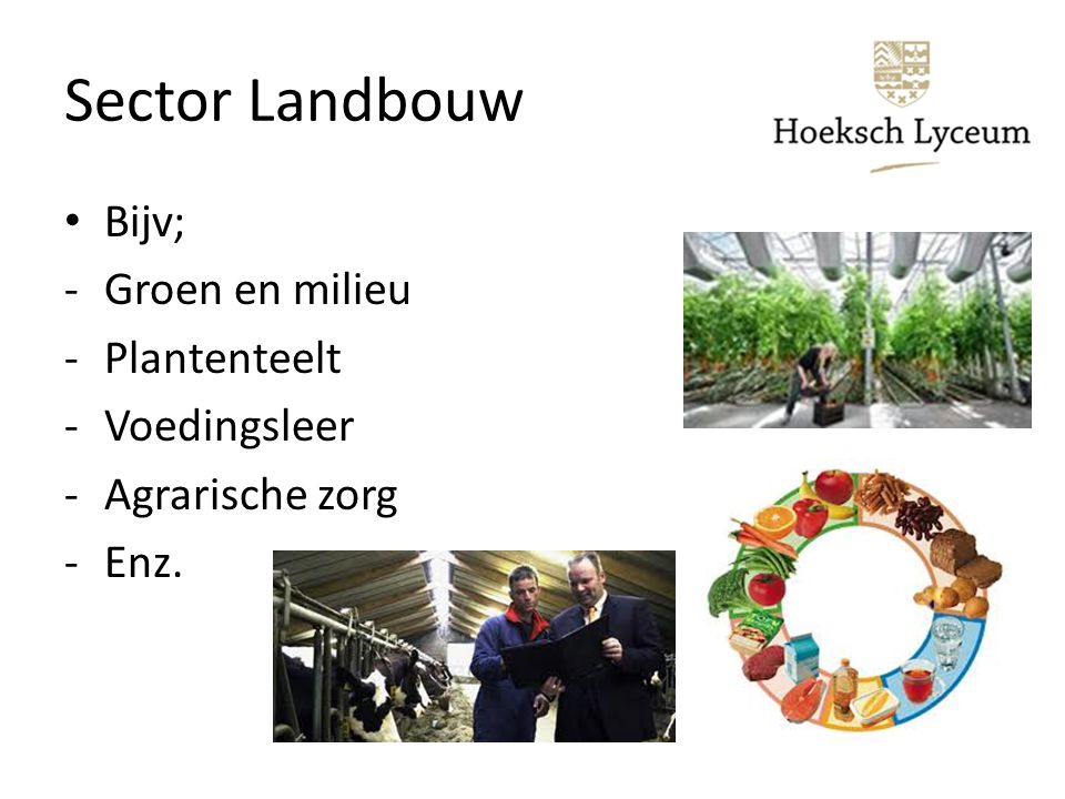 Sector Landbouw Bijv; -Groen en milieu -Plantenteelt -Voedingsleer -Agrarische zorg -Enz.