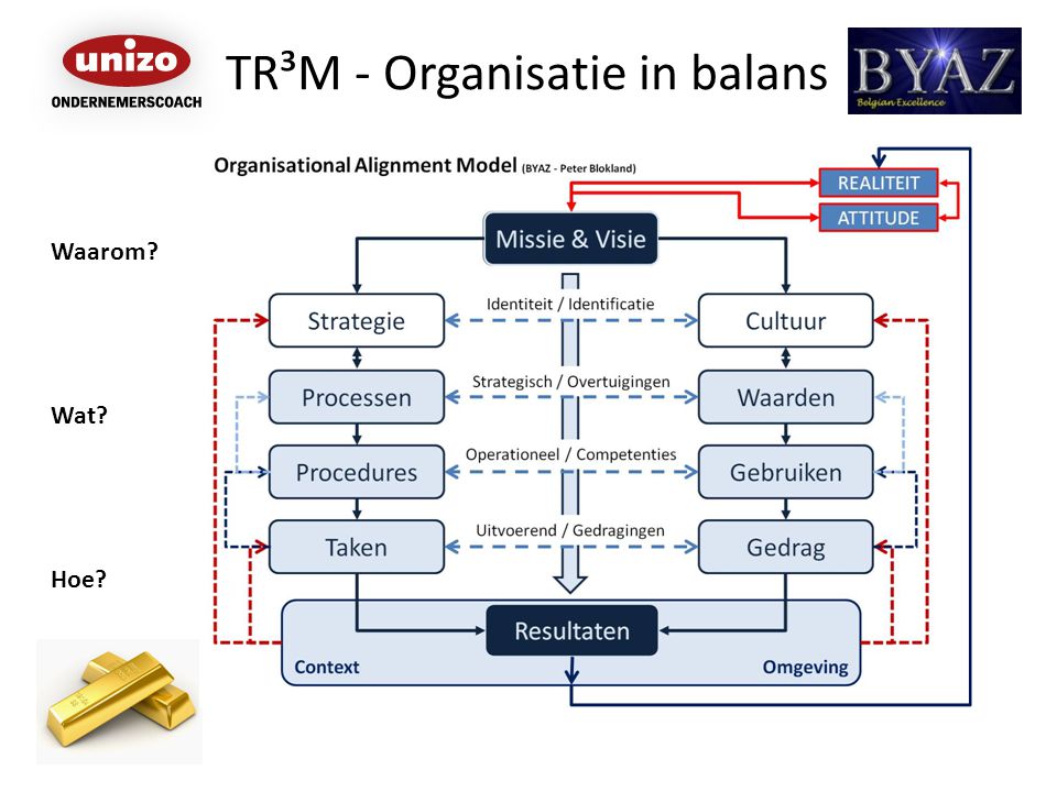 TR³M - Organisatie in balans Waarom Wat Hoe