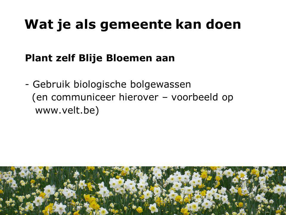 Plant zelf Blije Bloemen aan - Gebruik biologische bolgewassen (en communiceer hierover – voorbeeld op   Wat kan jij doen.