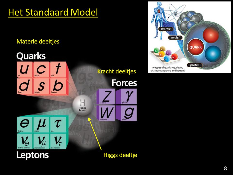 Het Standaard Model Materie deeltjes Kracht deeltjes Higgs deeltje 8