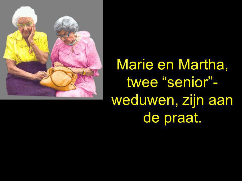 Marie en Martha, twee senior - weduwen, zijn aan de praat.