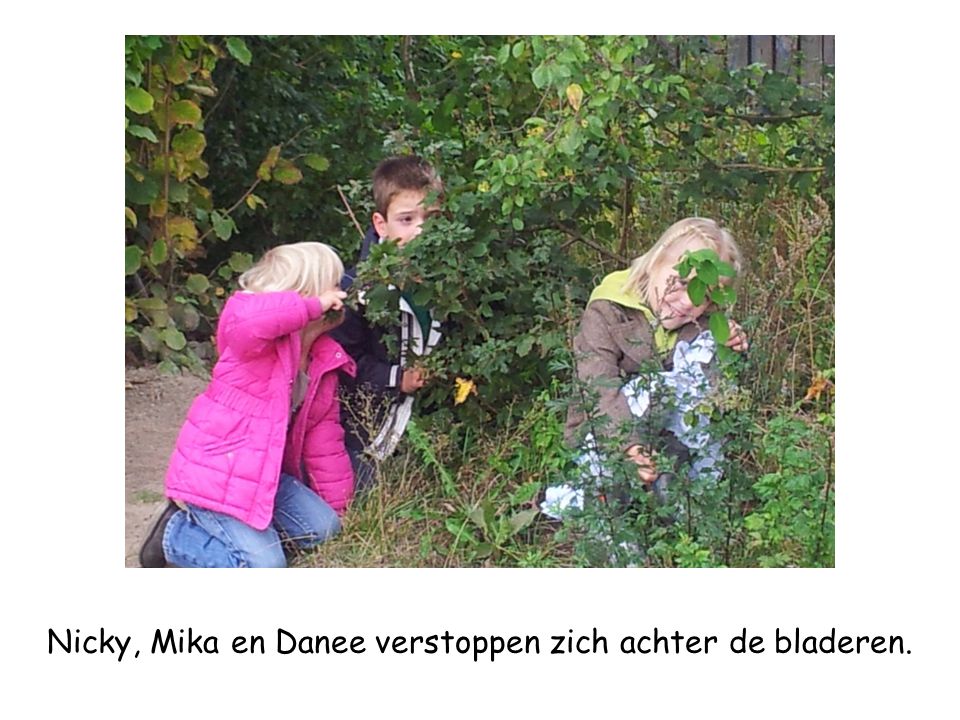 Nicky, Mika en Danee verstoppen zich achter de bladeren.